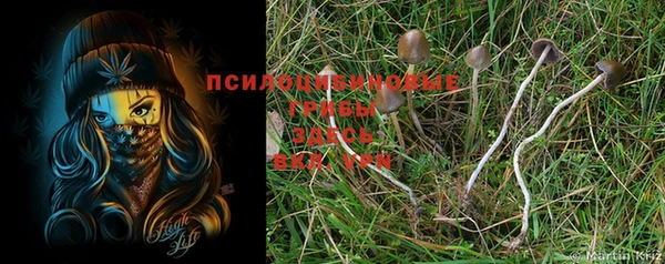 бошки Верхнеуральск