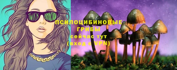 2c-b Бородино
