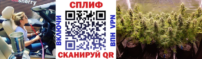 Бошки Шишки план  ссылка на мегу маркетплейс  Дербент 